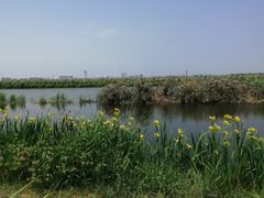 -南汇嘴观海公园