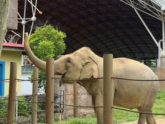 -杭州野生动物世界