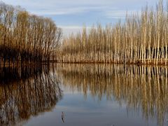 -东郊湿地公园