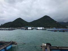 -东山码头
