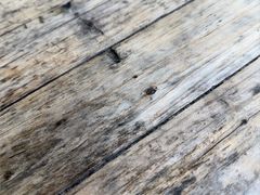 -小河无名面馆