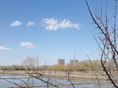 -大兴滨河森林公园