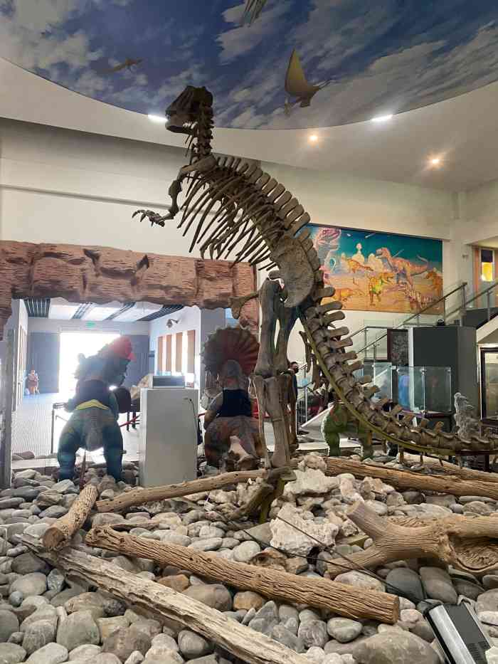 整体的建筑都是跟上海自然博物馆或是科技馆完全不是一个级别的,所以