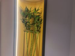 -FineYoga梵音瑜伽·普拉提