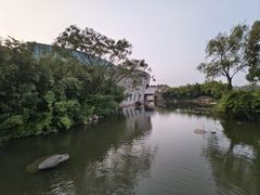 -新江湾城公园