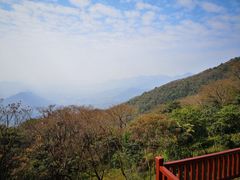 -广州市石门国家森林公园