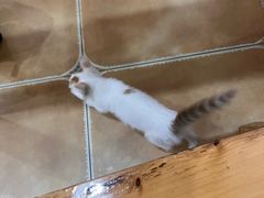 -华兴街自力面店