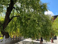 -报恩寺(平武县)