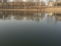 -马家湾湿地公园