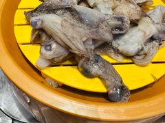 笔管鱼-龍歌自助小火锅(李沧丽达店)