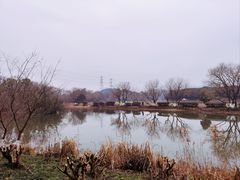 -八卦田遗址公园