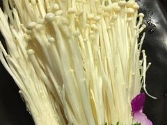 -手选潮汕鲜活牛肉火锅(二七广场店)