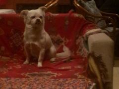 -哈尔滨北方国际青年旅舍(中央大街店)