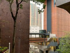 -香港大学