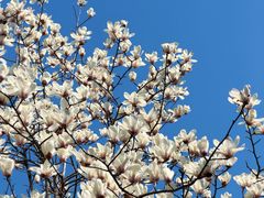 -比斯特上海购物村精品奥特莱斯