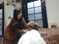 -猫色咖啡·猫咖