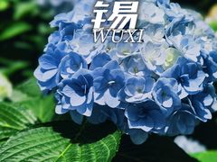 -无锡惠山寺