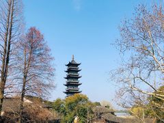 -乌镇西栅景区