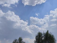 -才村湿地公园