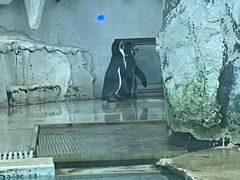 -南京海底世界