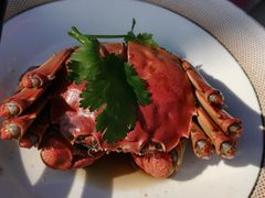 -品鲜村农家菜·阳澄湖大闸蟹(总店)