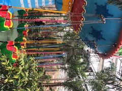 -南宫五洲植物乐园