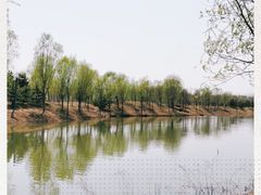 -东郊湿地公园