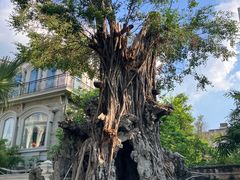 -荔湾博物馆