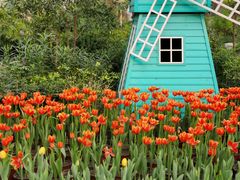 -南宫五洲植物乐园