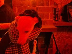 -The Drinkery (瑞金店)