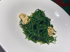 果仁爱沙葱-九十九顶毡房(阜石路店)