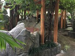 -加林娜泥浴水疗