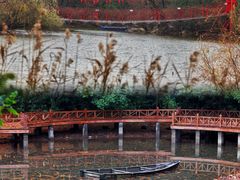-上海吴淞炮台湾国家湿地公园