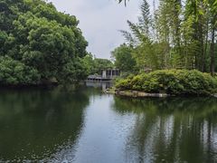 -上海共青森林公园