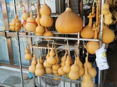 -中环花鸟鱼虫市场