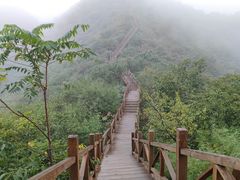 -大岭沟猕猴桃谷风景区