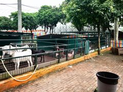 -观澜湖生态运动公社