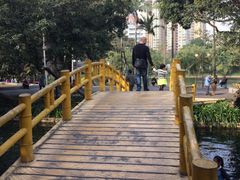 -晓港公园