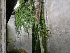 -乌镇东栅景区