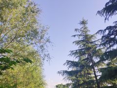 -洨河生态公园