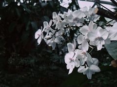-上海辰山植物园