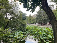 -荔湾湖公园