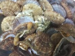 -宾朋海鲜特色美食餐厅·纯手工鲅鱼水饺(兴海路店)