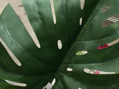 -火锅岛潮牌自助餐厅(天津天佑城店)