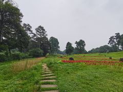 -保利石象湖景区
