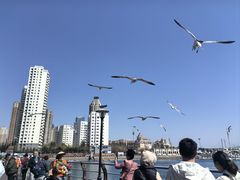 -大连圣亚海洋世界