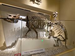 -国家自然博物馆