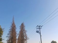 -嘉北郊野公园