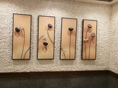 -嘉慧女子水汇