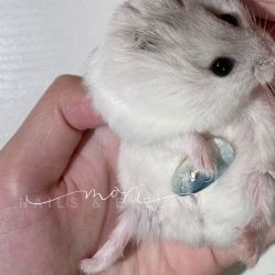 -森日式美甲沙龙MORI NAIL总店